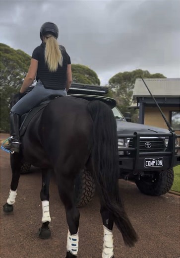 Experience 3-Star Eventing in Australia with Horses