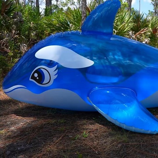 Giant Translucent Blue Blimp Whale Ride-On Pool Toy from Fuuzen Inflates