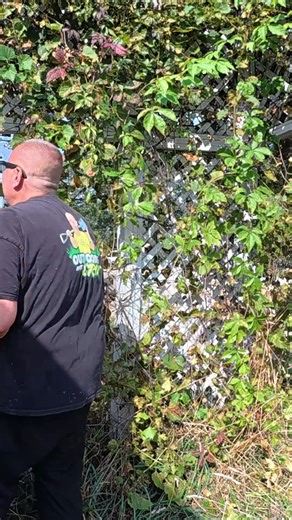 NO one has seen her in YEARS...The smell was AWFUL! I thought I was just coming to clean up a yard… but the moment I pulled up, I knew this was different. The bushes were so high you couldn’t even see the windows, and the brush had actually started growing inside the trailer. The front door was wide open, and the smell hit me hard. For a second, my heart sank. It made me think — how well do we really know our neighbors? And if something happened, would anyone notice? Would anyone care enough to 