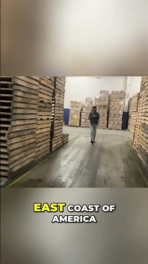 East Coast Orders: Inside the Million Sq Ft US Distribution Hub! #shorts