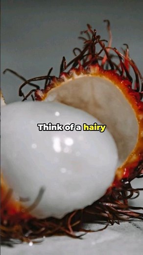 Most Bizarre Foods For a Rare Weird Fruit Explorer!