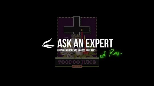Ask an Expert Series - Voodoo Juice Plus With the recent release of our Voodoo Juice Plus tablets many growers had a few questions about it. 1. What is Voodoo Juice Plus? 2. What does Voodoo Juice Plus do? 3. How do you use it with a dosing system? 4. Can it be used for compost or microbial teas? 5. What does CFU mean? 6. Can it be divided into smaller portions? Join us today with Rory our Director of Cultivation and see why this is a must have for your next grow. #roots #microbial #microbials #