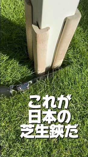 芝生の仕上げ 映え作業