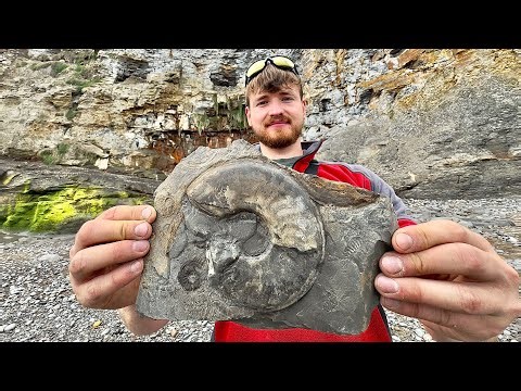 Fossil Hunting on a Remote Beach!