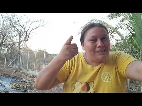 Milena le manda un fuerte mensaje amonica ex integrante del 4k ahora si milena nosequedo callada😡😡