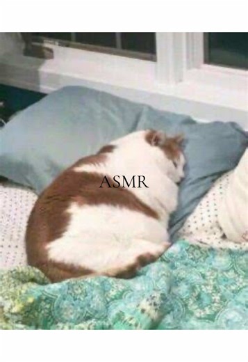 First Time Trying ASMR Tapping Techniques