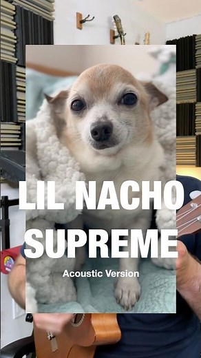Lil Nacho Supreme - Acoustic Version (Puppy Songs)