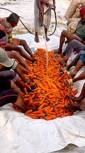 Amazing Giving carrots their sparkle back. | Hasan Ali