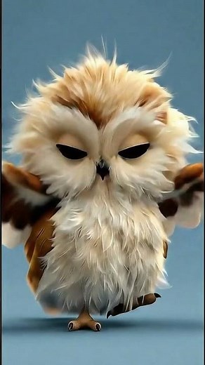MakeYourDay - Fluffy Owl Dance: The Cutest Thing You'll See Today!