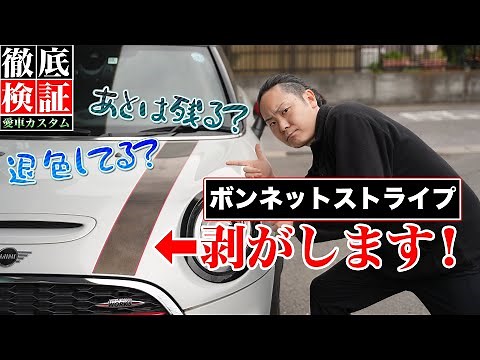 【新車から6年落ち】剥がしちゃって大丈夫？ボンネットストライプ剥がします！（BMW MINI JCW（ジョンクーパーワークス）F56）