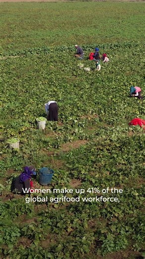 When women farmers are empowered, everyone benefits. Across the world, women drive agrifood systems, producing, processing and trading food that sustains families, communities and economies. Yet their contributions often go unrecognized, and persistent inequalities limit their access to resources, opportunities and decision making. 2026 is the United Nations International Year of the Woman Farmer. Join us to celebrate women farmers and to boost their access to build more resilient communities. M