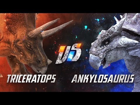 Triceratops VS Ankylosaurus
