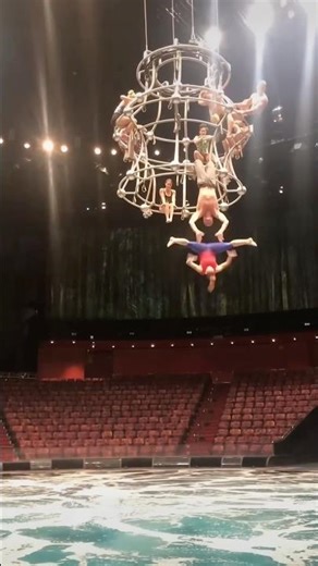 If You Fail… Try Again 🐋🎪 | Circus x Whale Mashup