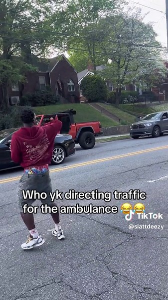 Zoo Animals Direct Traffic in Funny Video