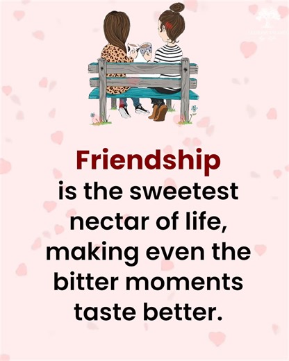 Friendship | Lessons Taught By Life