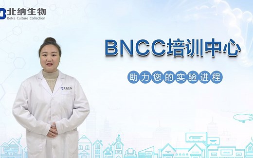 #BNCC培训中心《微生物菌体大小的测定和显微镜直接计数》