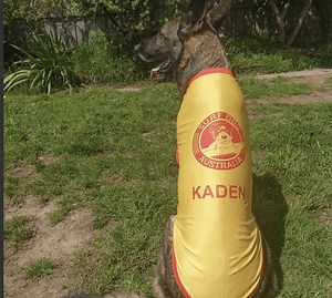 Dog Rashie Vest - UV50  Sun Protection for Dogs | Surfdog Australia
