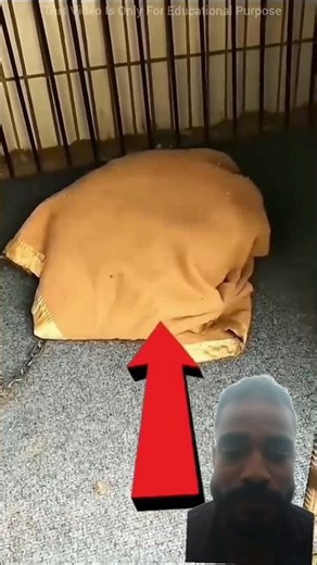 कंबल के नीचे आश्चर्य 😱 | #shorts