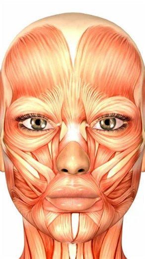 Kunst| Social Media | Fun Facts | Insta-Marketing | Im Herzen von Berlin, am Alexanderplatz neben dem Fernsehturm, befindet sich das Körperwelten Museum Berlin — das erste permanente BODY... | Instagram