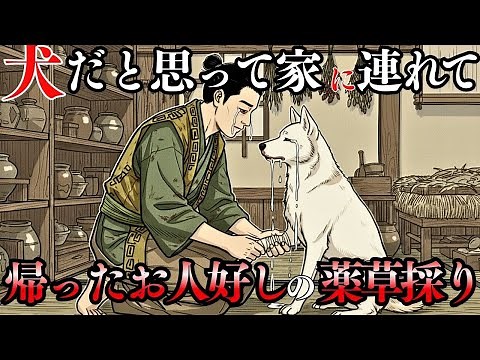 借金地獄から村を救った九尾の狐の報恩！悪徳地主に下された天罰が凄まじい | 戦国時代 | 昔話 | 民話 | 伝説 | 九尾の狐 | 日本史 | 語り| 因果応報