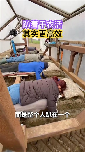 趴着干农活，其实更高效！