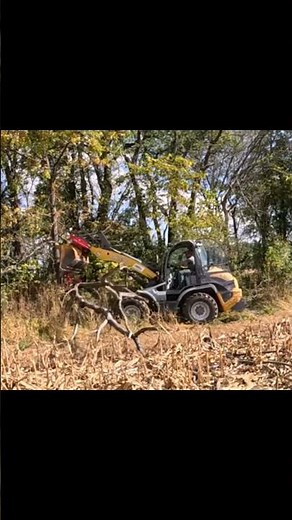 Moving a Downed Tree with Garvee Log Tongs & Payloader 🚜 | Iowa Farm Work