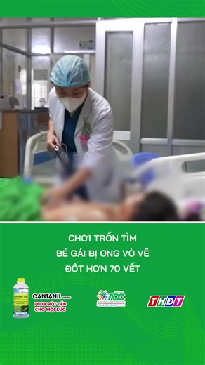 Chơi trốn tìm, bé gái bị ong vò vẽ đốt hơn 70 vết #thdt #dongthap #truyenhinhdongthap #mcv