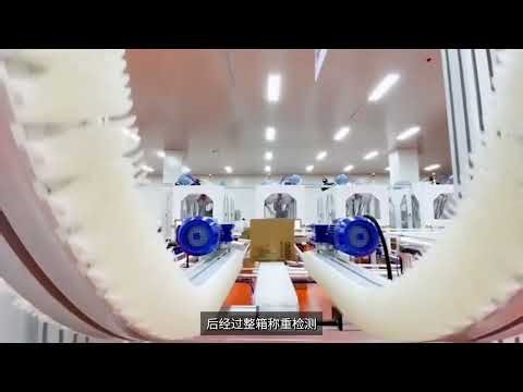 🏭 Inside the Factory: How Pickled Vegetables Are Produced at Scale