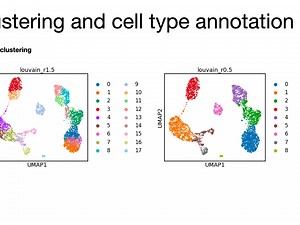 Introduction to single-cell RNA-seq data analysis in Python using scanpy - 006 -