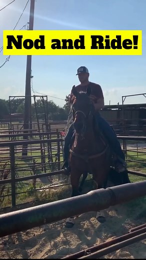 Nod and Ride! 😃 #rodeo #calfroping #tiedownroping #lessons #subscribe #follow #like | Rodeo Gym