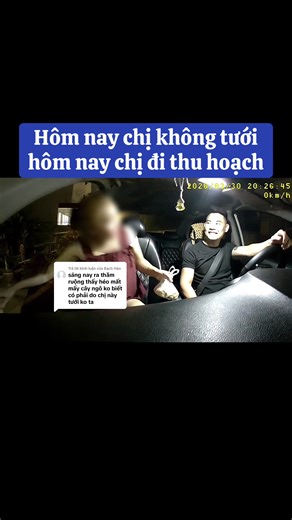 Trả lời @Bạch Hào bác bị héo có mấy cây mà chị ý mua nguyên một sọt là lời rồi nhá 😂😂😂😂