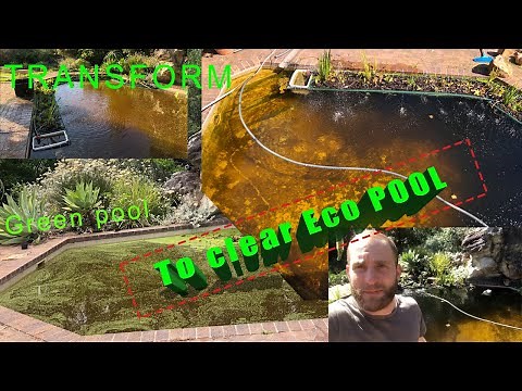 Transform Your Swimming Pool into an EcoPool or natural pool using Floating Plant Beds - FUTURE POOL