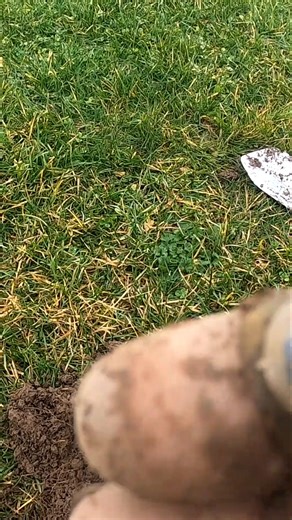 Metal Detecting Old Copper Ring 1800 Silver Coins Relics Toys Western NY #metaldetecting #shorts | Metal Detecting NY