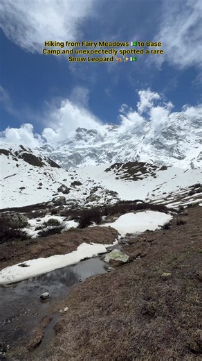 Snow Leopard Sightings in Pakistan’s Fairy Meadows