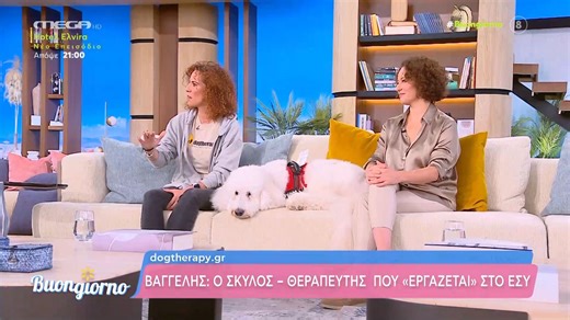 Βαγγέλης: Ο σκύλος-θεραπευτής που «εργάζεται» στο ΕΣΥ