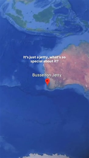 Send to your dive buddy 🐠 Would you dive under the jetty? 🤔 📍 Busselton Jetty, Western Australia: 📏 1.8km long 🏆 Longest jetty in the southern hemisphere! 🤿 Now with the most incredible snorkel trail 🌎 2nd longest jetty in the world HOW TO SNORKEL HERE: Head to the visitor centre on the jetty and buy a snorkel pass (only a few dollars) Bring your own gear and take the jetty train Check ahead for train times, there is a fee. Otherwise you’re walking 1.8km like us haha Or boat/jetski out th