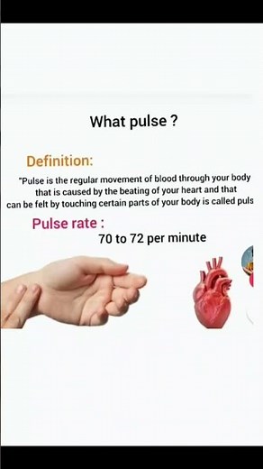 What is pulse |definition of pulse|medical uses