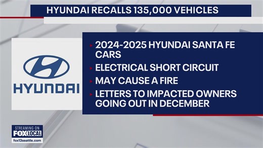 Hyundai recalls 135,000 Santa Fe models over fire risk