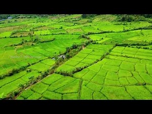 Keindahan Alam Pedesaan dari Udara (Drone Video)