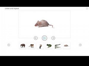 tiger 1 unit 5 słownictwo