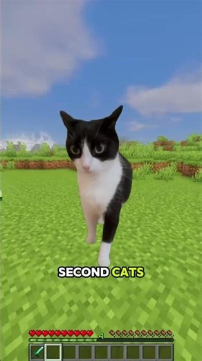no one know about these facts #minecraft #minecraftfacts #minecraftshorts