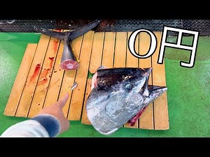 I found a tuna head at the market, cooked it, and made an amazing full course meal.