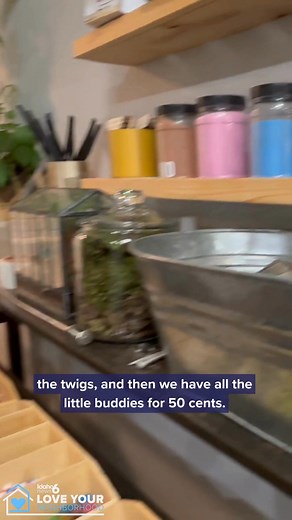 Sip, plant, and connect in Meridian 🌿🍸 WOOD & ROOT BAR pairs creative cocktails with a warm, inclusive vibe, making it a local favorite where everyone feels at home. Thanks to ICCU for supporting local businesses by sponsoring Love Your Neighborhood, Thursday mornings at 6:45 a.m. on Good Morning Idaho. Learn more --> https://www.kivitv.com/news/local-news/in-your-neighborhood/love-your-neighborhood-wood-and-root-bar-meridan🔗 #LoveYourNeighborhood #IdahoNews6 #NeighborhoodNews #Boise #IdahoNe