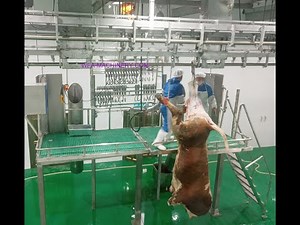 WFA Cattle Abattoir Butcher Design Machine For Slaughtering Equipment