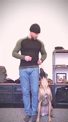 15K views · 700 reactions | Home Obedience Training <3 At this video...