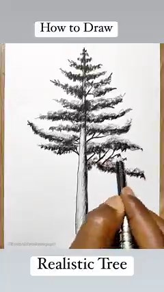 106K views · 647 reactions | How to Draw a Realistic Tree #pencilartist #drawing #3dart | Did you know? | Facebook