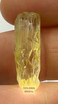 5 Yellow Gems That You Can Easily Find in Nature!
