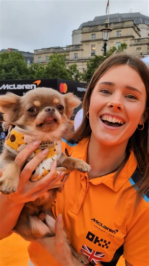 49K views · 1.5K reactions | London! ✅ | McLaren | Facebook