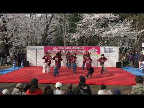 【練馬区旭町】STRADA STUDIO ステージ発表＠光が丘公園Cherry Blossam Festa 2026/2日目