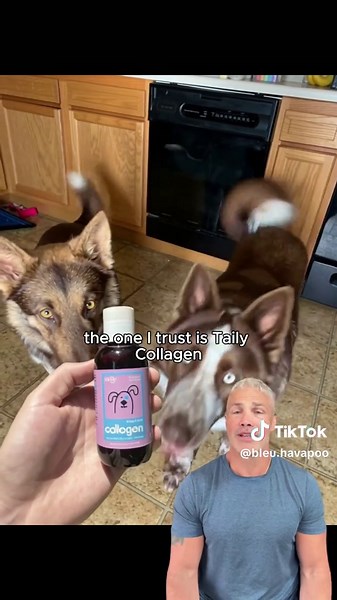 bleu on TikTok
